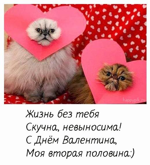 190 фото на День Святого Валентина - Открытки на День Влюбленных 💕