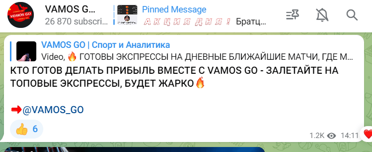 VAMOS GO | Спорт и Аналитика — мошенники или стоит поверить? Результат проверки эксперта