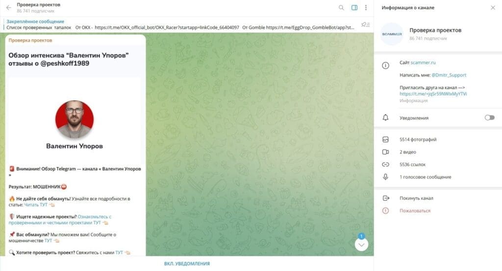 Телеграм канал Проверка проектов отзывы и анализ лохотрона