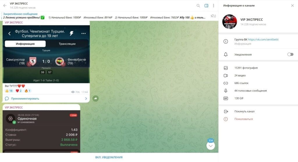 Телеграм канал VIP ЭКСПРЕСС — проверка на честность и реальные отзывы