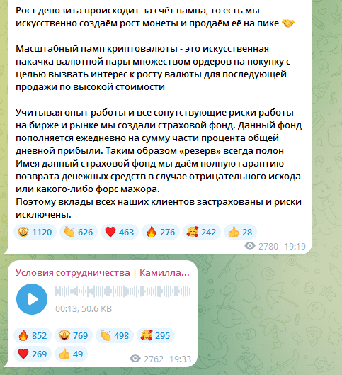 Телеграм «Условия сотрудничества | Камилла Жибуля»: отзывы и правда о мошеннике!
