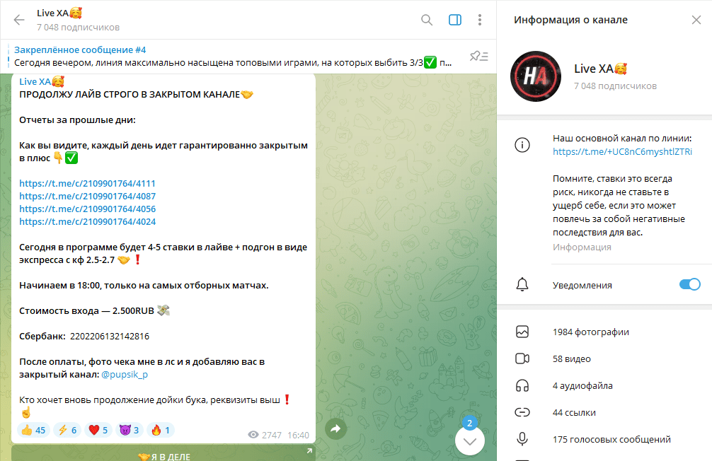 Телеграм канал Live ХА обзор, честные отзывы подписчиков
