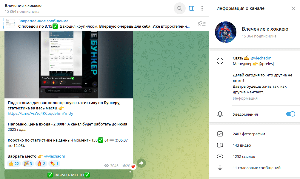 Телеграм канал Влечение к хоккею полный обзор, честные отзывы подписчиков